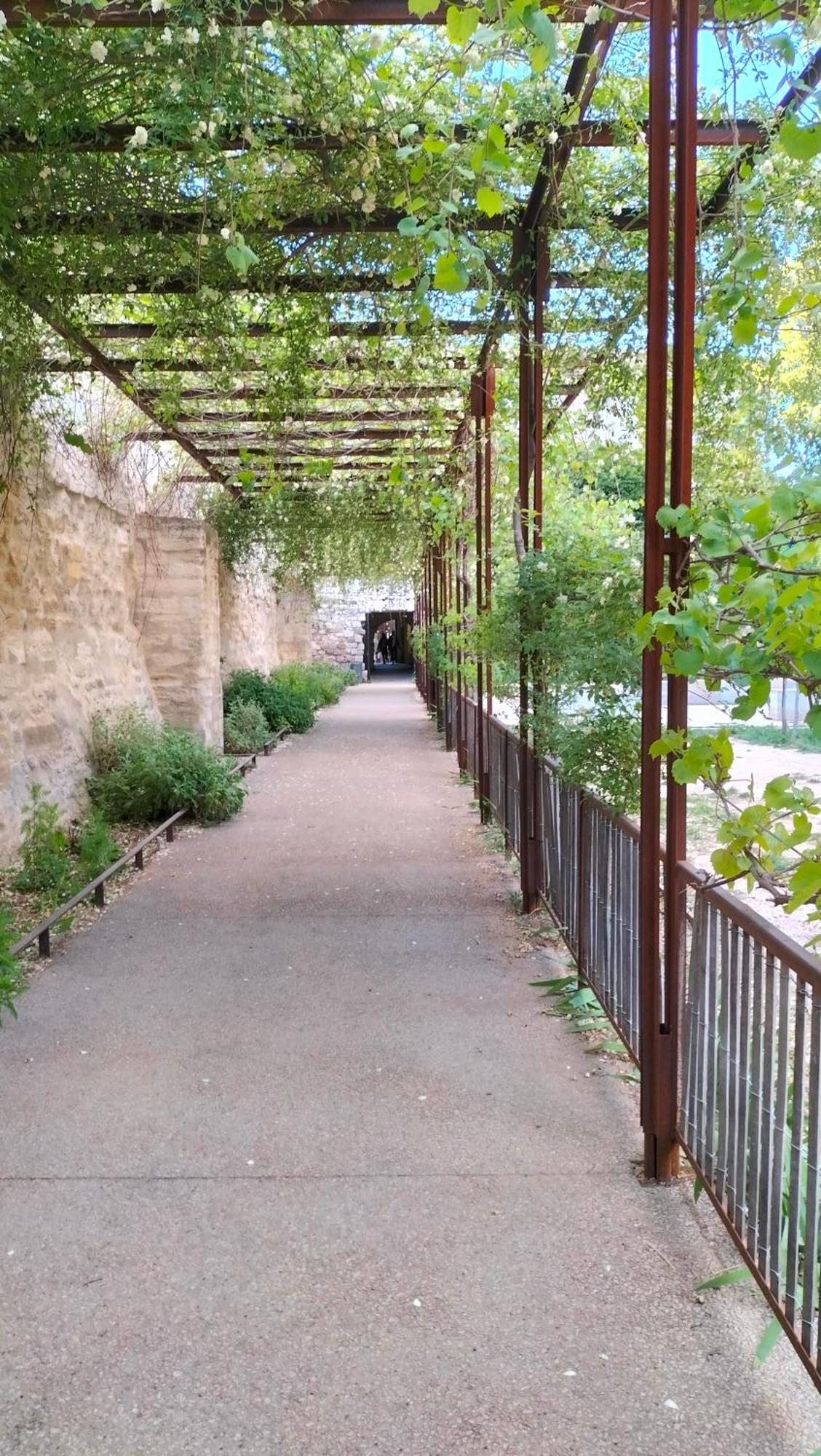 Studio Terrasse, Intra-Muros, Climatise Avec Wifi Awinion Zewnętrze zdjęcie